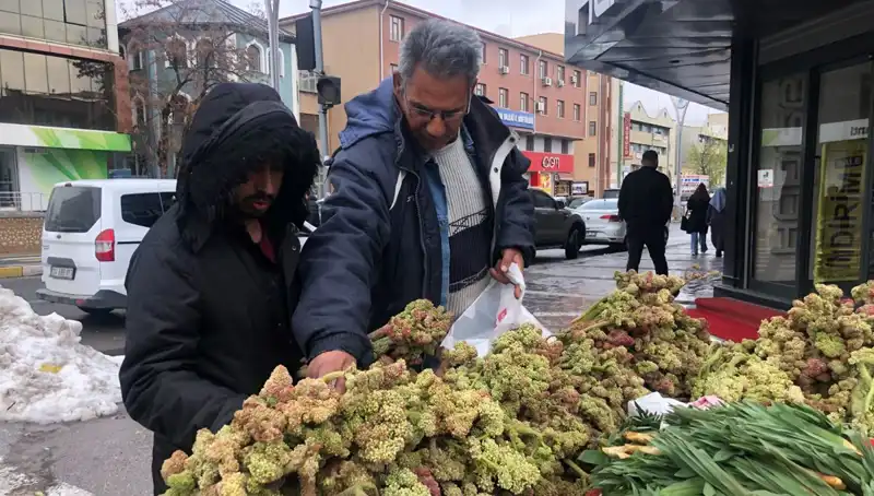 Kendiliğinden Yetişen Doğanın Hazinesi: Kanser Tedavisinde Beklentileri Artıran Yeni Ürün