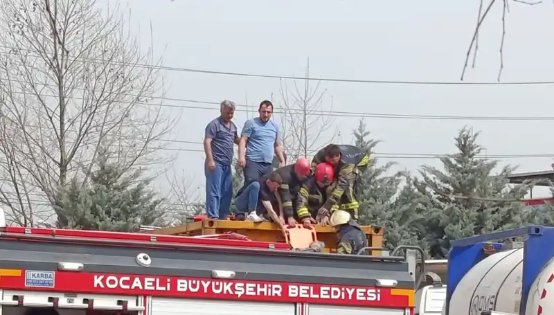 Tehlikeli Madde Taşıyan TIR Tankı Kazası: Şoför Ağır Yaralı Hastaneye Kaldırıldı