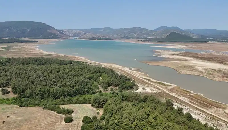 İzmir'de Geçen Yıla Göre Yüzde 50 Düşüş: Tehlike Çanları Çalıyor