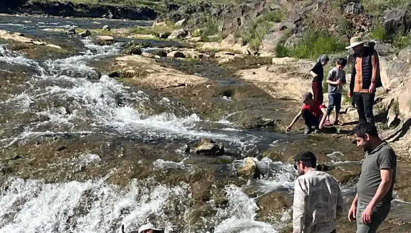 İnci Kefalinin Büyüleyici Göçü: Doğanın Bu Harikası Neleri Getiriyor?