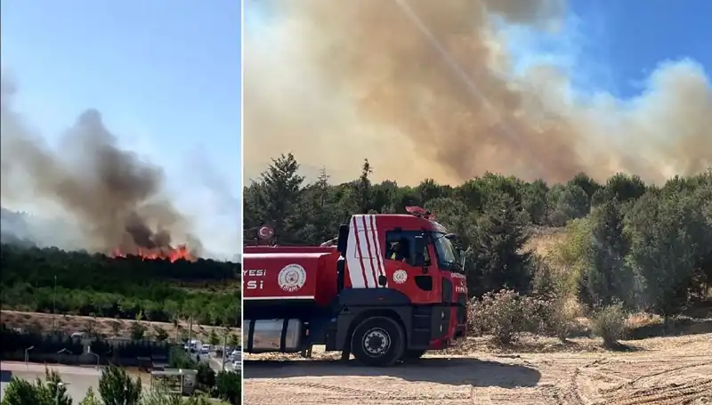 Gebze'de Paniğe Neden Olan Orman Yangını Kontrol Altına Alındı