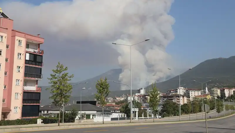 Denizli'de Çıkan Orman Yangını: Gözaltındaki Şüpheli ve Son Gelişmeler