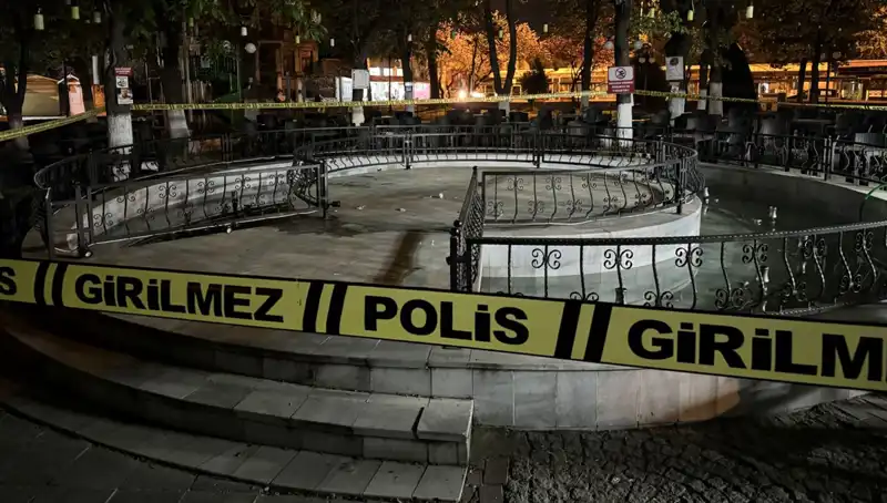 Kırklareli'nde Süs Havuzunda Skandal: Dört Kişi Hastanelik Oldu