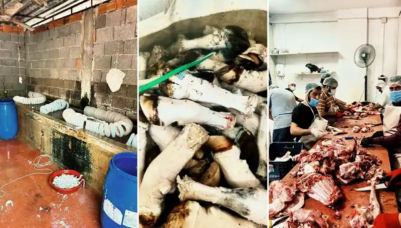 Adana'da Şok Edici Ele Geçirme: Yüzlerce Kilo Paça İmha Edildi!