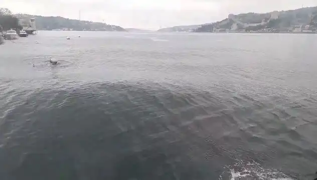 İstanbul Boğazı'nda Dalgalar Yükseldi: Deniz Tutkunları için Çarpıcı Görüntüler