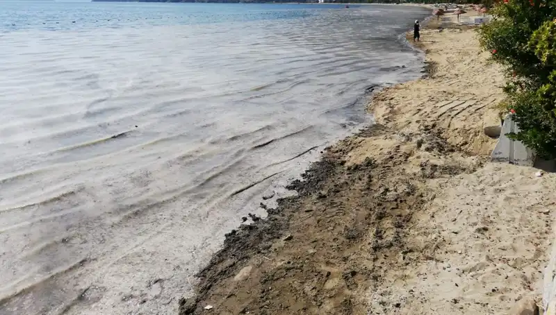 Müsilajla Mücadelede Sert Önlemler: 268 İşletme Kapanmak Zorunda Kaldı