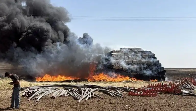 Mardin'de Anız Yangınları: Doğaya Verilen Zarar ve Alınacak Önlemler