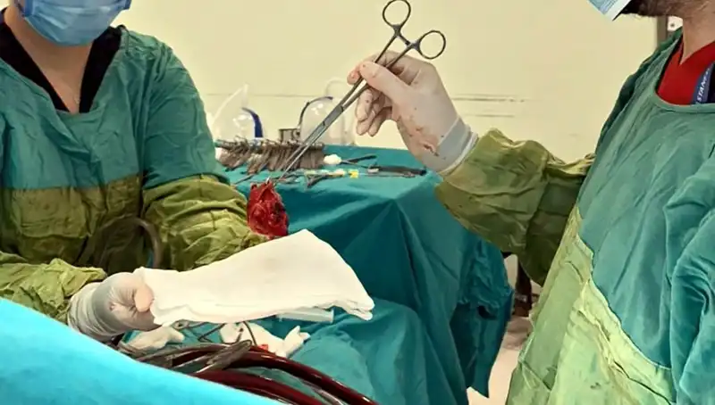 Kalp Kapağı Çürüyen Hastaya 7 Saat Süren Mucizevi Ameliyat