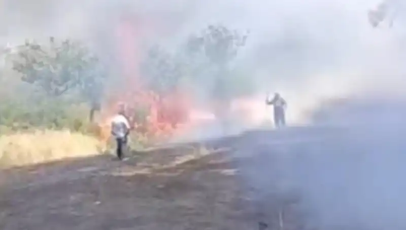Çay Bahçelerindeki Yangın, Fıstık Ağaçlarını Tehdit Ediyor!