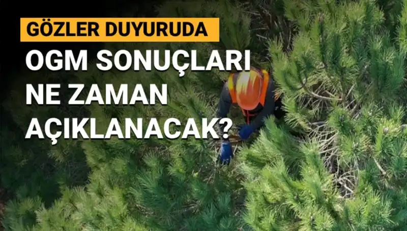 OGM Personel Alımı: 3 Bin 477 Sözleşmeli Pozisyon Sonuçları Bekleniyor!