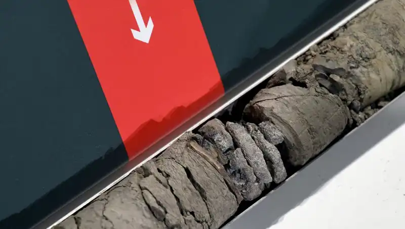 Müze Otoparkında Şok Eden Dinozor Fosili Keşfedildi!