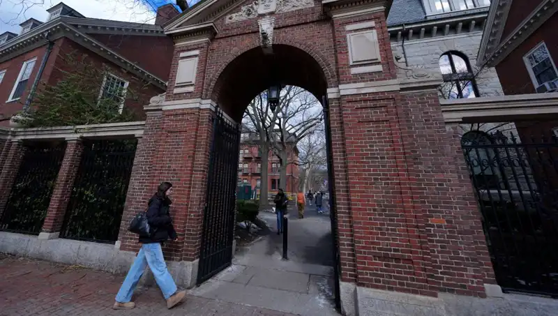 Harvard Profesörlerinden Trump Yönetimine Şaşırtan Dava İddiası