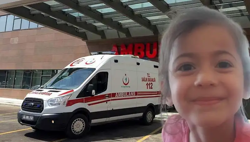 10 Ay Sonra Gelen Acı Haber: 8 Yaşındaki Roza’nın Kayıp Hikayesi
