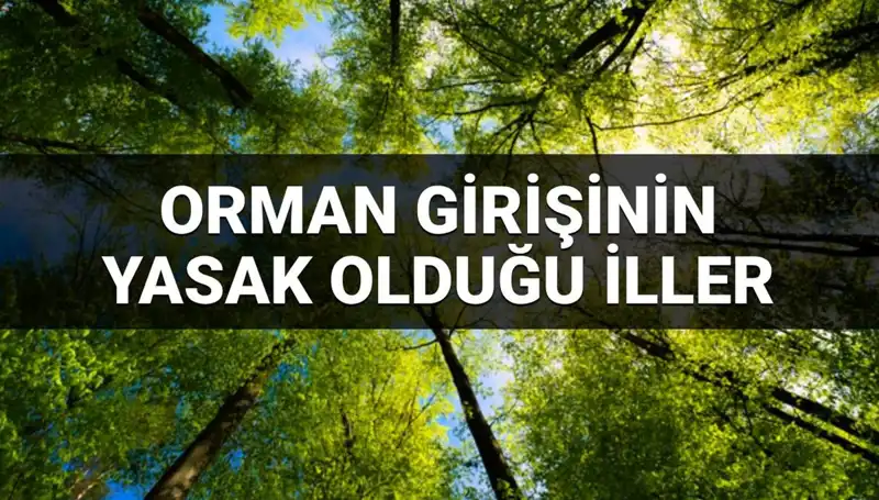 2025'te Ormana Girişi Yasaklanan İl Listesi: Hangi Şehirler Risk Altında?