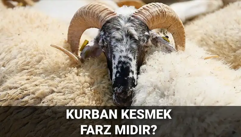 Kurban Kesmek Farz mı? Diyanet'in Görüşü ve Şartları Açıklandı