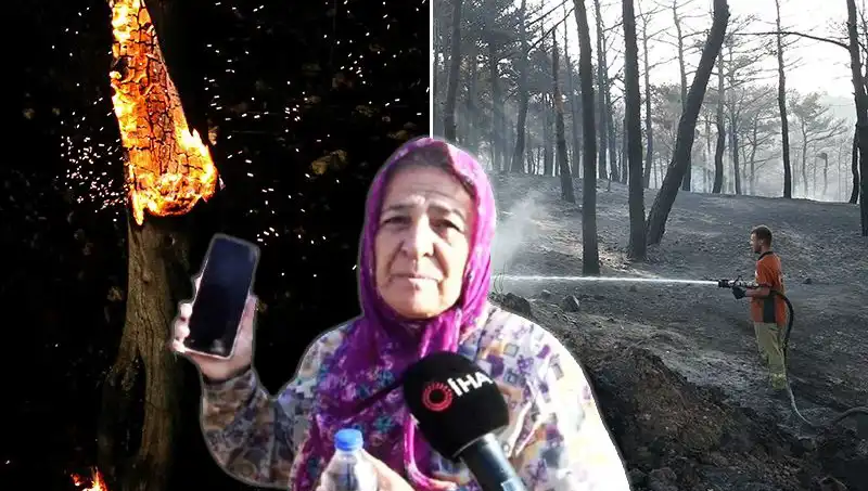 Çanakkale Orman Yangınları Kontrol Altına Alındı: Yetkililer Duyurdu